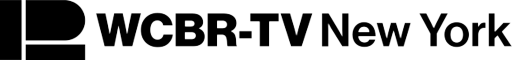 WCBR-TV_legal_ID_bug_1976-removebg-preview
